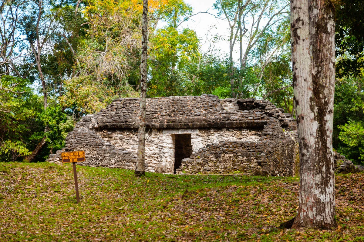 Tikal