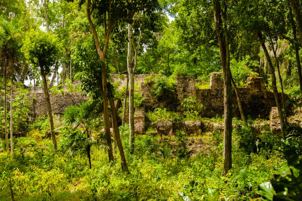 Naranjo
